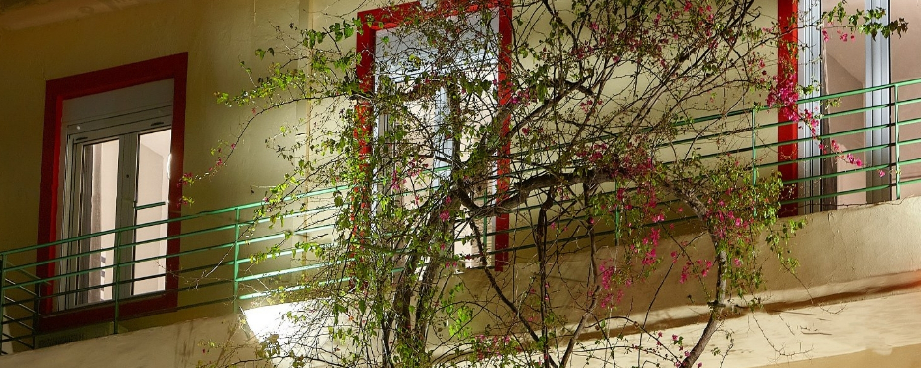 domenico slide (3)