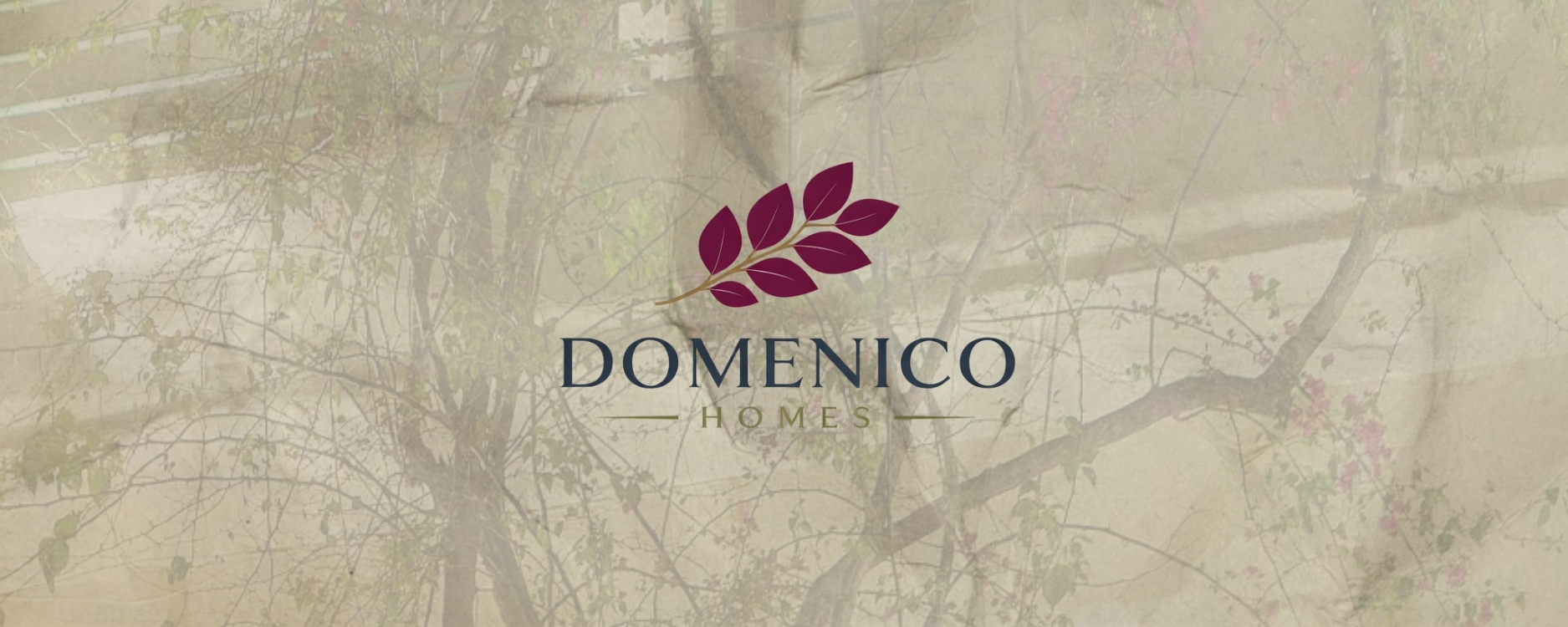 domenico slide (6)
